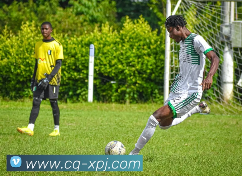 澳门新葡京娱乐APP 封面图